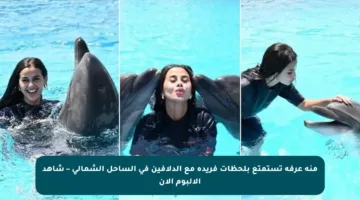 منة عرفة تستمتع بلحظات فريدة مع الدلافين في الساحل الشمالي – شاهد الألبوم الآن